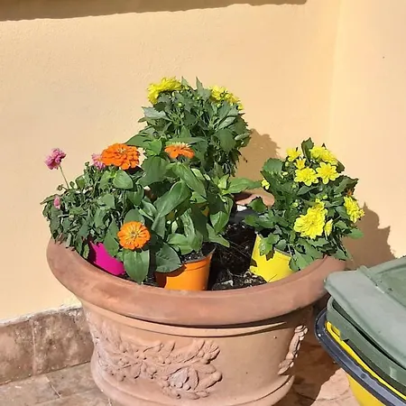 Lejlighed Gusto E Benessere Terrazza Nel Borgo Sacrofano